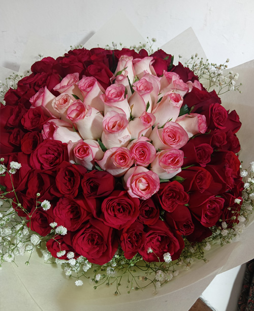 Blush and Crimson Elegance