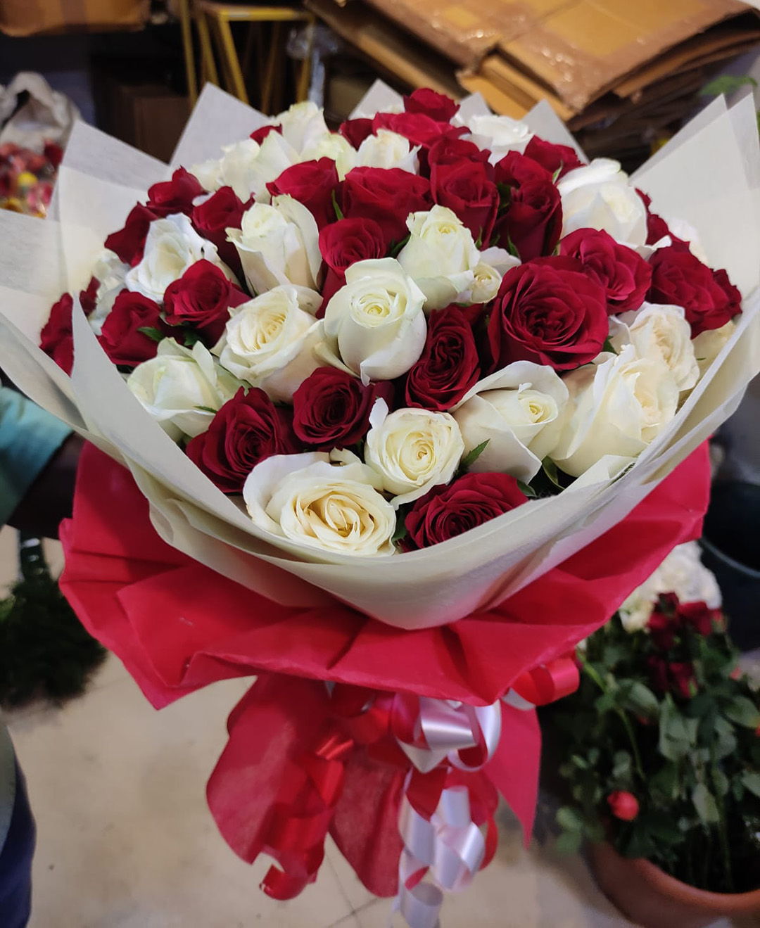 50 Red and White Roses Bunch With Paper Packing